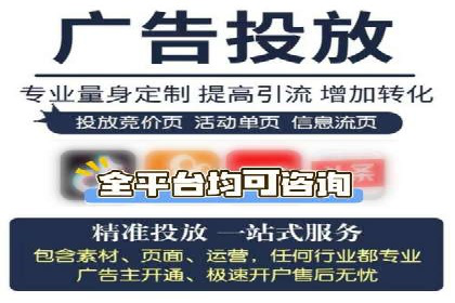 某电商平台的SEM推广实践与效果展示